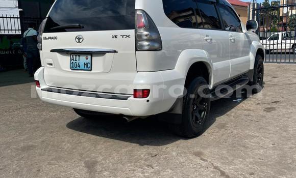 Comprar Usado Toyota Land Cruiser Prado Branco Carro em Maputo em Maputo Comprar Usado Toyota Land Cruiser Prado Branco Carro em Maputo em Maputo