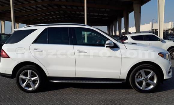 Buy Used Mercedes‒Benz GLE White Car in Angoche in Nampula Buy Used Mercedes‒Benz GLE White Car in Angoche in Nampula