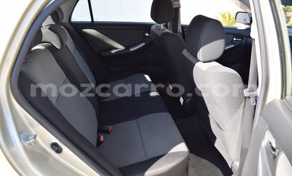 Comprar Usado Toyota Runx Prata Carro em Gondola em Manica Comprar Usado Toyota Runx Prata Carro em Gondola em Manica
