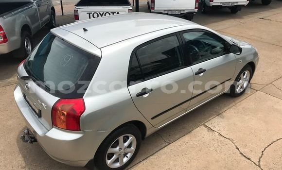 Comprar Usado Toyota Runx Prata Carro em Gondola em Manica Comprar Usado Toyota Runx Prata Carro em Gondola em Manica