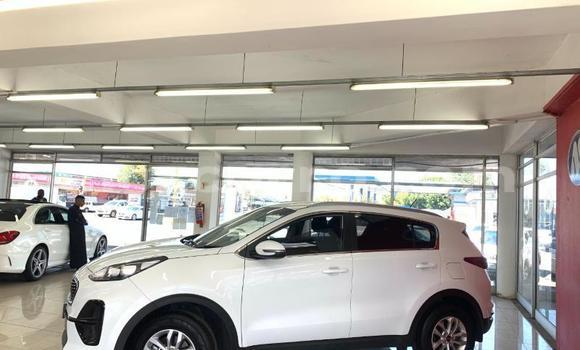 Tenga Tsaru Kia Sportage Sirivha Mota in Catandica in Manica