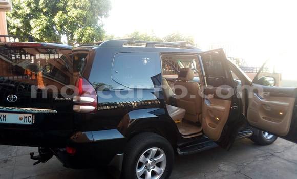 Tenga Itsva Toyota Land Cruiser Prado Nhema Mota in Maputo in Maputo Tenga Itsva Toyota Land Cruiser Prado Nhema Mota in Maputo in Maputo