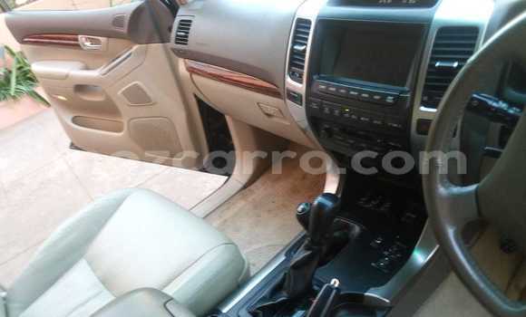 Tenga Itsva Toyota Land Cruiser Prado Nhema Mota in Maputo in Maputo Tenga Itsva Toyota Land Cruiser Prado Nhema Mota in Maputo in Maputo