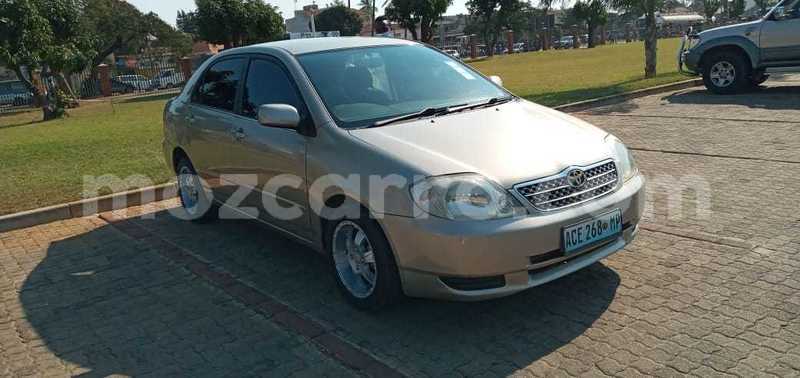 Big with watermark toyota allex maputo maputo 11086