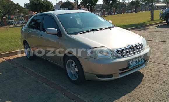 Buy Used Toyota Allex Other Car in Maputo in Maputo Buy Used Toyota Allex Other Car in Maputo in Maputo