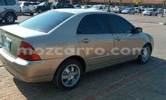 Buy Used Toyota Allex Other Car in Maputo in Maputo Buy Used Toyota Allex Other Car in Maputo in Maputo