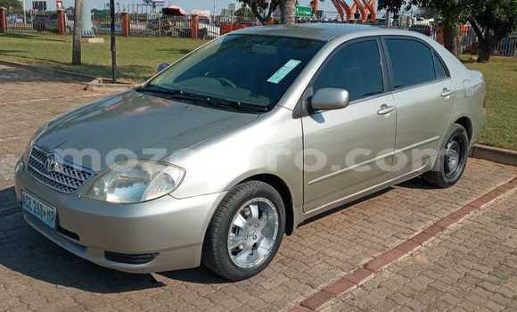 Buy Used Toyota Allex Other Car in Maputo in Maputo Buy Used Toyota Allex Other Car in Maputo in Maputo
