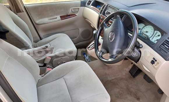 Nunua Ilio tumika Toyota Spacio Nyingine Gari ndani ya Maputo nchini Maputo Nunua Ilio tumika Toyota Spacio Nyingine Gari ndani ya Maputo nchini Maputo