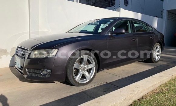 Nunua Ilio tumika AC Ace Nyeusi Gari ndani ya Maputo nchini Maputo Nunua Ilio tumika AC Ace Nyeusi Gari ndani ya Maputo nchini Maputo