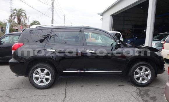 Tenga Tsaru Toyota Vanguard Nhema Mota in Maputo in Maputo Tenga Tsaru Toyota Vanguard Nhema Mota in Maputo in Maputo