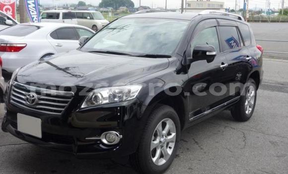 Tenga Tsaru Toyota Vanguard Nhema Mota in Maputo in Maputo Tenga Tsaru Toyota Vanguard Nhema Mota in Maputo in Maputo