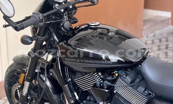 Comprar Usado Harley Davidson Street Preto Moto em Maputo em Maputo Comprar Usado Harley Davidson Street Preto Moto em Maputo em Maputo