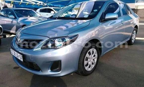 Tenga Tsaru Toyota Corolla Sirivha Mota in Maputo in Maputo Tenga Tsaru Toyota Corolla Sirivha Mota in Maputo in Maputo