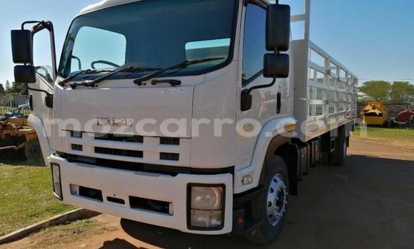 Comprar Usado Isuzu FTR 850 Branco Caminhão em Balama em Cabo Delgado Comprar Usado Isuzu FTR 850 Branco Caminhão em Balama em Cabo Delgado