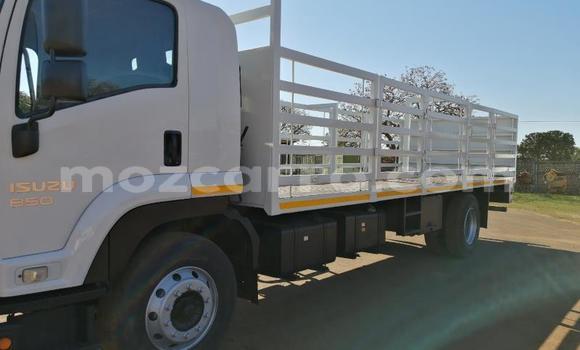 Comprar Usado Isuzu FTR 850 Branco Caminhão em Balama em Cabo Delgado Comprar Usado Isuzu FTR 850 Branco Caminhão em Balama em Cabo Delgado
