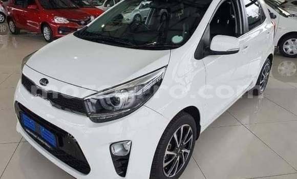 Comprar Usado Kia Picanto Branco Carro em Maputo em Maputo Comprar Usado Kia Picanto Branco Carro em Maputo em Maputo