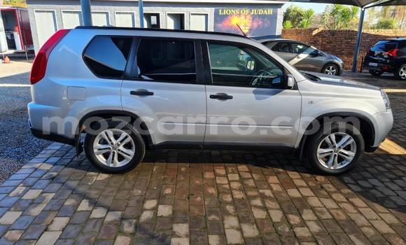 Buy Used Nissan X-Trail Silver Car in Maputo in Maputo Buy Used Nissan X-Trail Silver Car in Maputo in Maputo
