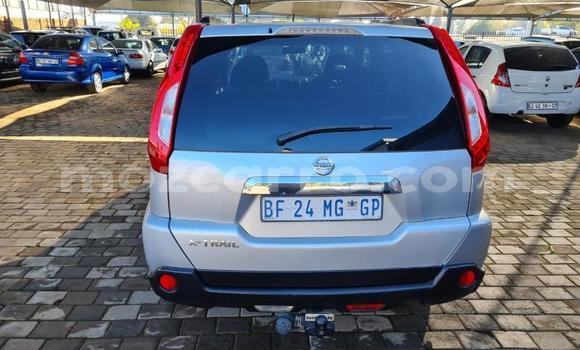 Buy Used Nissan X-Trail Silver Car in Maputo in Maputo Buy Used Nissan X-Trail Silver Car in Maputo in Maputo