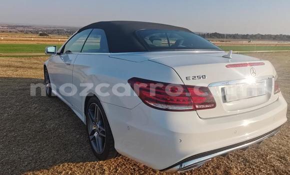 Tenga Tsaru Mercedes‒Benz E-Class Chena Mota in Maputo in Maputo Tenga Tsaru Mercedes‒Benz E-Class Chena Mota in Maputo in Maputo