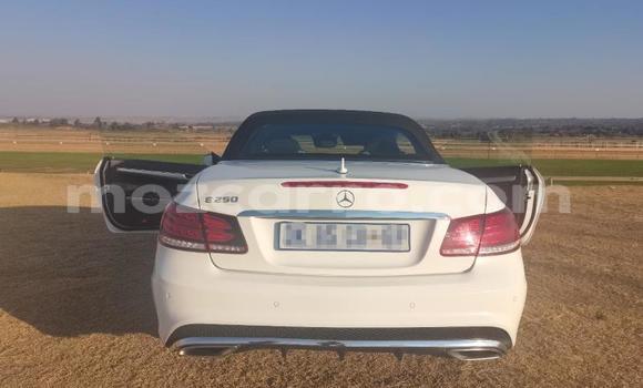 Tenga Tsaru Mercedes‒Benz E-Class Chena Mota in Maputo in Maputo Tenga Tsaru Mercedes‒Benz E-Class Chena Mota in Maputo in Maputo