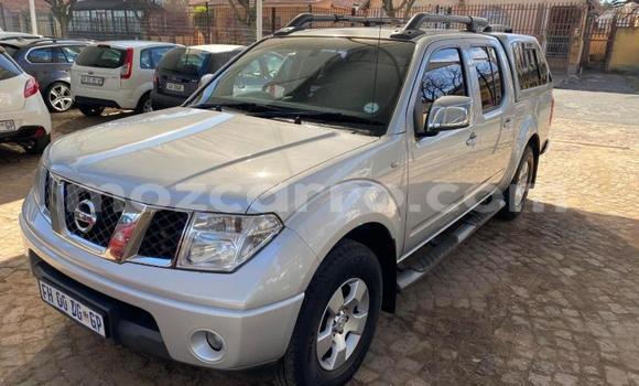 Comprar Usado Nissan Navara Verde Carro em Maputo em Maputo Comprar Usado Nissan Navara Verde Carro em Maputo em Maputo