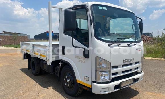 Buy Used Isuzu FTR 850 White Truck in Maputo in Maputo Buy Used Isuzu FTR 850 White Truck in Maputo in Maputo