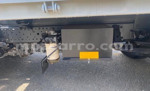Buy Used Isuzu FTR 850 White Truck in Maputo in Maputo Buy Used Isuzu FTR 850 White Truck in Maputo in Maputo