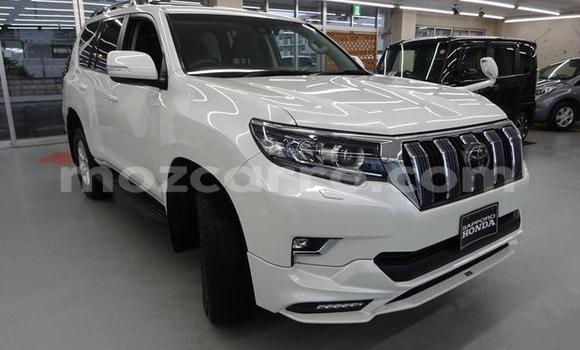 Buy Used Toyota Land Cruiser Prado White Car in Maputo in Maputo Buy Used Toyota Land Cruiser Prado White Car in Maputo in Maputo