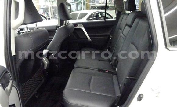 Buy Used Toyota Land Cruiser Prado White Car in Maputo in Maputo Buy Used Toyota Land Cruiser Prado White Car in Maputo in Maputo