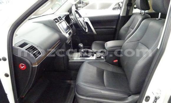 Buy Used Toyota Land Cruiser Prado White Car in Maputo in Maputo Buy Used Toyota Land Cruiser Prado White Car in Maputo in Maputo
