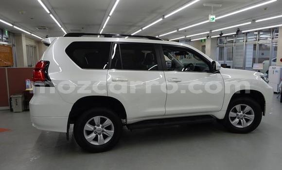 Buy Used Toyota Land Cruiser Prado White Car in Maputo in Maputo Buy Used Toyota Land Cruiser Prado White Car in Maputo in Maputo