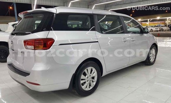 Buy Import Kia Carnival Other Car in Import - Dubai in Cabo Delgado Buy Import Kia Carnival Other Car in Import - Dubai in Cabo Delgado
