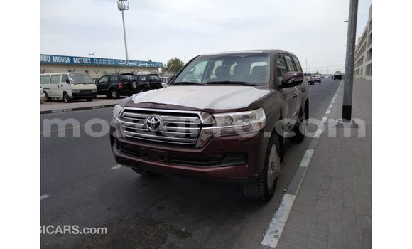 Tenga Imported Toyota Land Cruiser Bhurawuni Mota in Import - Dubai in Cabo Delgado Tenga Imported Toyota Land Cruiser Bhurawuni Mota in Import - Dubai in Cabo Delgado