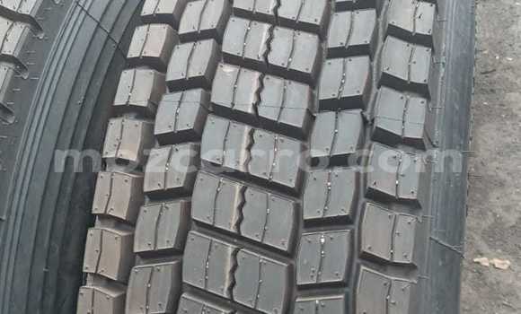 Tenga Tsaru Bedford CFS Chena Mota in Maputo in Maputo Tenga Tsaru Bedford CFS Chena Mota in Maputo in Maputo