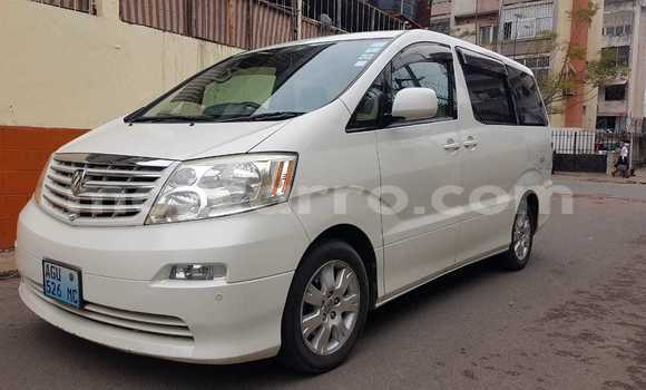 Buy Used Toyota Alphard White Car in Maputo in Maputo