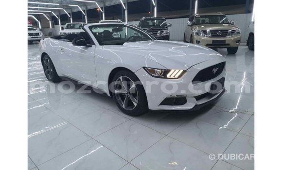 Buy Import Ford Mustang White Car in Import - Dubai in Cabo Delgado Buy Import Ford Mustang White Car in Import - Dubai in Cabo Delgado
