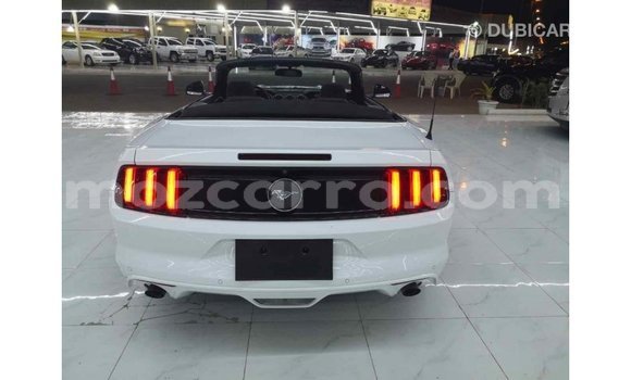 Buy Import Ford Mustang White Car in Import - Dubai in Cabo Delgado Buy Import Ford Mustang White Car in Import - Dubai in Cabo Delgado