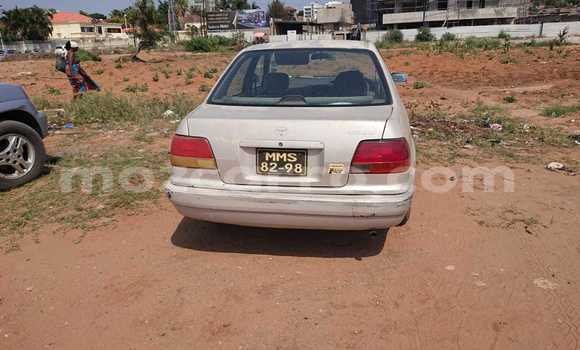 Nunua Ilio tumika Toyota Corolla Nyingine Gari ndani ya Maputo nchini Maputo Nunua Ilio tumika Toyota Corolla Nyingine Gari ndani ya Maputo nchini Maputo