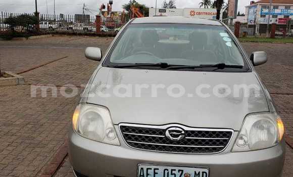 Nunua Ilio tumika Toyota Vitz Nyingine Gari ndani ya Maputo nchini Maputo Nunua Ilio tumika Toyota Vitz Nyingine Gari ndani ya Maputo nchini Maputo