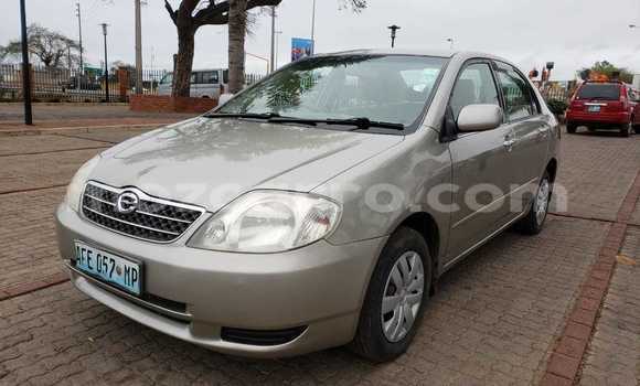 Buy Used Toyota Vitz Other Car in Maputo in Maputo Buy Used Toyota Vitz Other Car in Maputo in Maputo