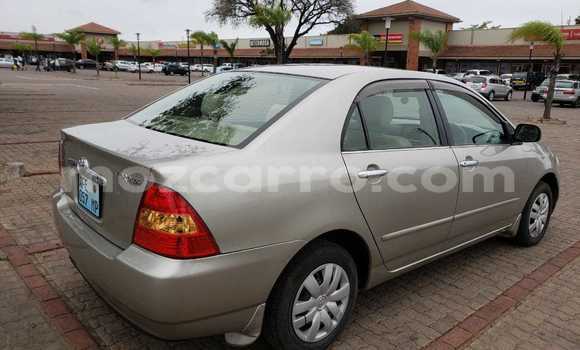 Buy Used Toyota Vitz Other Car in Maputo in Maputo Buy Used Toyota Vitz Other Car in Maputo in Maputo