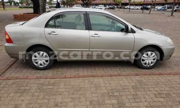 Buy Used Toyota Vitz Other Car in Maputo in Maputo Buy Used Toyota Vitz Other Car in Maputo in Maputo