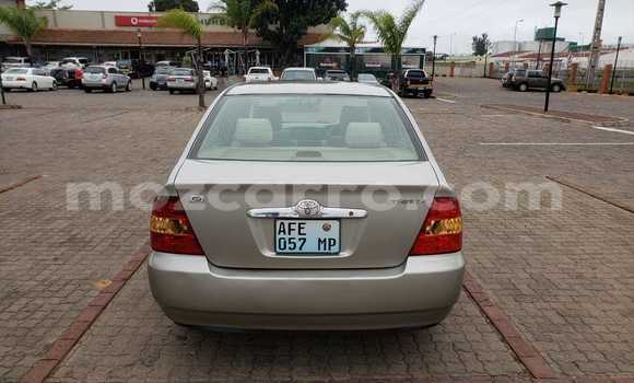 Buy Used Toyota Vitz Other Car in Maputo in Maputo Buy Used Toyota Vitz Other Car in Maputo in Maputo
