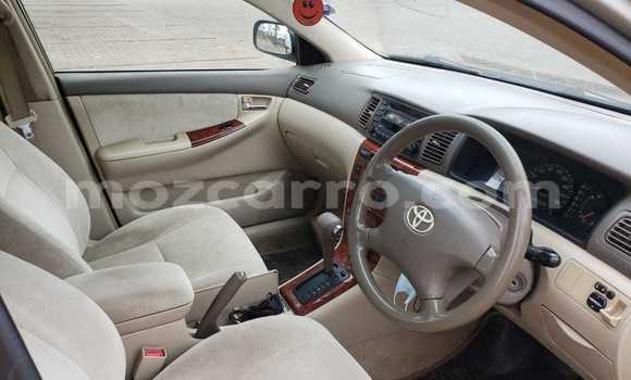 Buy Used Toyota Vitz Other Car in Maputo in Maputo Buy Used Toyota Vitz Other Car in Maputo in Maputo
