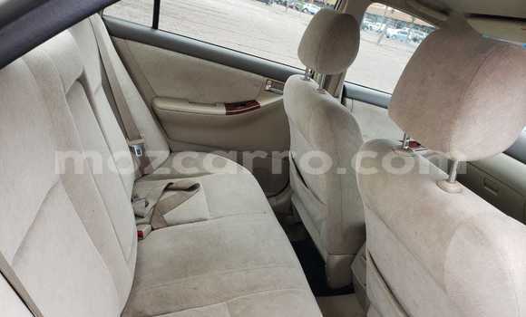 Buy Used Toyota Vitz Other Car in Maputo in Maputo Buy Used Toyota Vitz Other Car in Maputo in Maputo