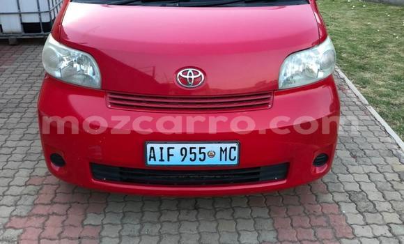 Comprar Usado Toyota Porte Vermelho Carro em Maputo em Maputo Comprar Usado Toyota Porte Vermelho Carro em Maputo em Maputo