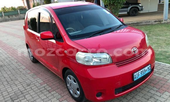 Buy Used Toyota Porte Red Car in Maputo in Maputo Buy Used Toyota Porte Red Car in Maputo in Maputo