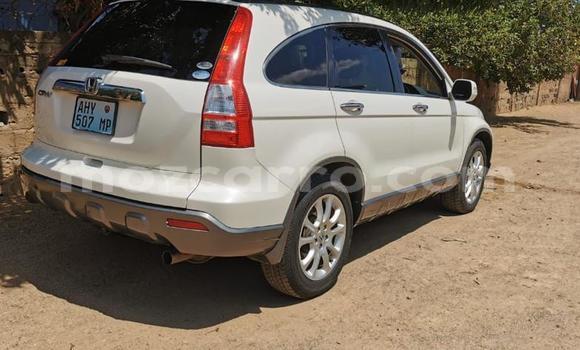 Buy Used Honda CR-V White Car in Maputo in Maputo Buy Used Honda CR-V White Car in Maputo in Maputo