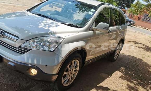 Buy Used Honda CR-V White Car in Maputo in Maputo Buy Used Honda CR-V White Car in Maputo in Maputo
