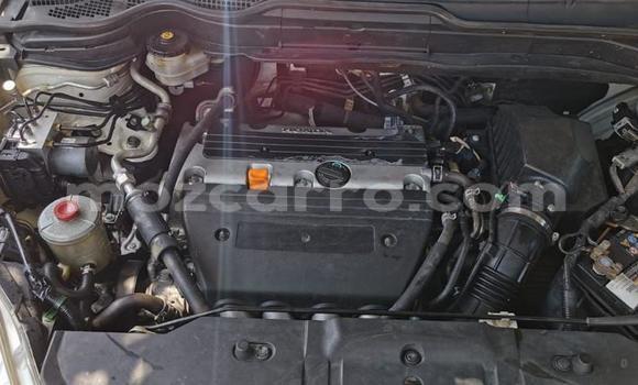 Buy Used Honda CR-V White Car in Maputo in Maputo Buy Used Honda CR-V White Car in Maputo in Maputo